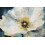 Dipinto su tela laccato con cornice cm 42x3,5x62 2