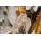Dipinto su tela laccato con cornice cm 42x3,5x62 3