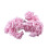 Roselyslenker20LED rosa plastgirlander3m 2