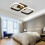 HIBIBUD LED Ceiling Light Dual-Head Black 5