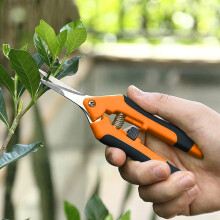 Ciseaux de taille en acier inoxydable - Orange, 16,7 cm