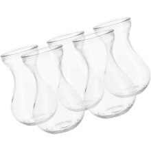 5er-Set Glasvasen, Glasblumenvasen, Pflanzenvasen, Terrarien, schlichte Form, flacher Boden, einzigartiges Design