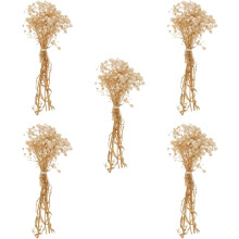 5 bouquets décoratifs faits main de gypsophile séchée, fleurs séchées à transporter