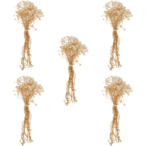 5 bouquets décoratifs faits main de gypsophile séchée, fleurs séchées à transporter