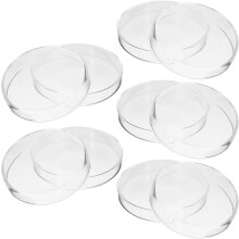5 Stück 90-mm-Glas-Petrischalen für wissenschaftliche Kulturen mit Deckeln, runde Agarplatten