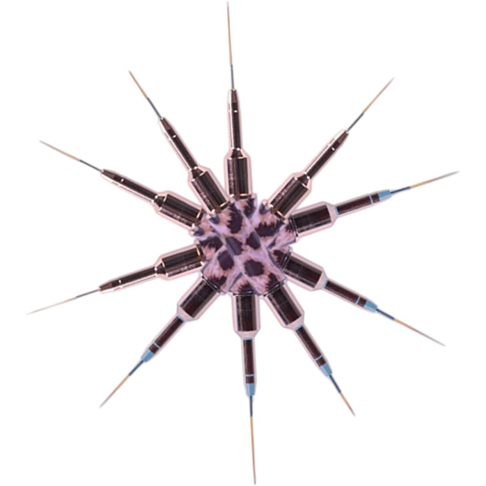 Hkhbjs 5Pcs Nail Art Brush For Nail Painting Liner Pens For Design Portable Drawing Tools For Manicure