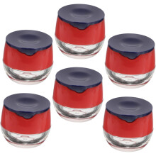 6 Stück kleine Kunststoffdöschen für Lippenmasken, leere Lippenbalsambehälter mit Reisedeckeln