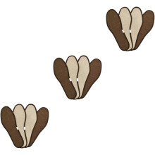 6 Pairs Bamboo Insoles Shoe Pads for Sports Shoes Foot Care Insoles Cushion Odor Control for Women and Men