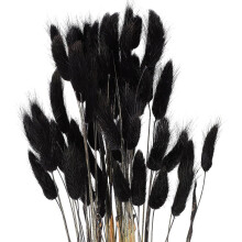 60 queues de lapin séchées, fleurs séchées noires naturelles, accessoire de photographie