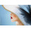Dipinto su tela laccato con cornice cm 62x4x92 2