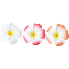 12er-Set Haarspangen mit hawaiianischen Frangipaniblüten in verschiedenen Farben (6 cm), modische florale Haarnadeln