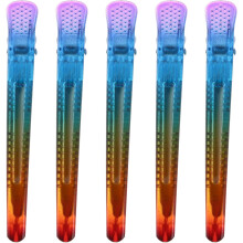 5 Stück Regenbogen-Alligator-Haarspangen, Styling-Abteilclips für Mädchen und Frauen, Haarzubehör