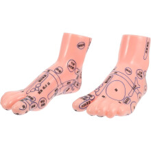 Fußakupunkturpunkt-Modellpaar für Massage und Lehre, anatomisches Fußmassagemodell