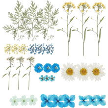 1 Beutel echte, getrocknete und gepresste Blüten, Naturblumen, leuchtende Farben, handgefertigt, farbecht