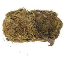 Dekoratives Moos-Bastelmaterial, 100g Beutel, natürliches grünes künstliches Moos