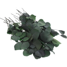 Bund getrocknete Eukalyptusblätter, Eukalyptus-Tischdekoration, 45 cm, konservierte Blumen, rustikaler Landhausstil