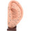 Ear Reflection Area Acupoint Mould Ear Teaching Model Base for Massage Model and Tool Display 1