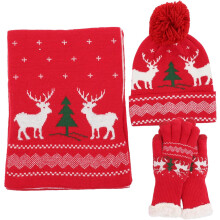 Winteraccessoires für Damen: Strickmütze, Handschuhe, Schal-Set, Weihnachtsmütze