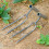Premium Root Rakes Iron Handheld Cultivator With Two-2 pack 5