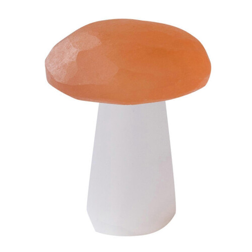 Mini paddenstoelbeeldje van natuurlijk gips, handgemaakt.