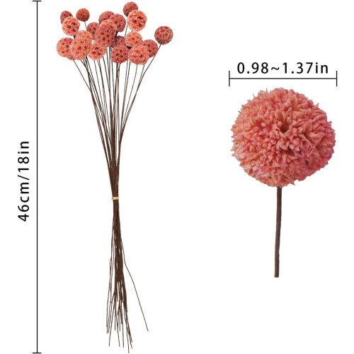 Craspedia Billy Balls séchées – 20 pièces, 40 cm 1