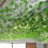 Artificial Grape Leaf Vine Garland, 12-Pack, 230cm Green 5