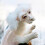 Falkor Luck Dragon -pehmonukke – käsintehty pehmolelu 4