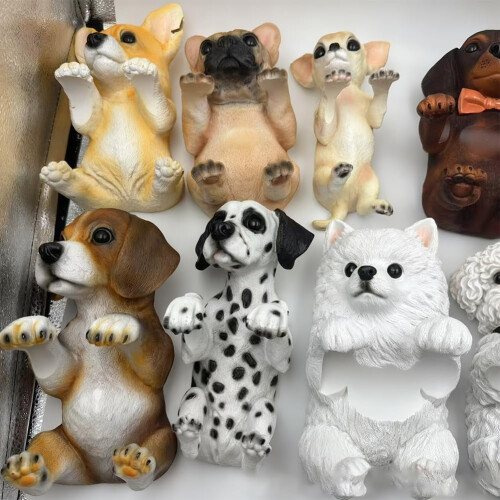 Sealbhóir Páipéir Leithris Corgi, Balla-Feistithe, Roisín 2