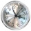 Clock Insert with Gold Trim and Roman Numerals 1