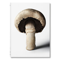 MUSHROOM by The Gourmand Hardcover Book