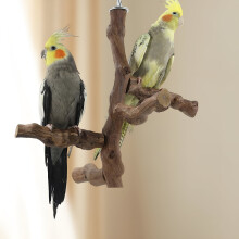 Wood Bird Perch Stand for Parrots and Conures