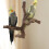 Wood Bird Perch Stand for Parrots and Conures 1