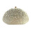 Exquisite Rhinestones Decorated Evening Bag For-Champagne 1