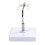 Multi Purpose Medicals Teaching Tool Hyoid Bone Anatomy Model 4