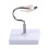 Multi Purpose Medicals Teaching Tool Hyoid Bone Anatomy Model 6