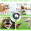 Tauziehenball für Hunde 2