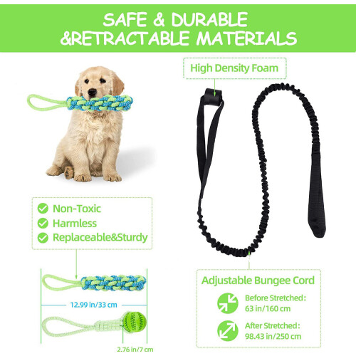 Tauziehenball für Hunde 2