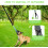 Tauziehenball für Hunde 4