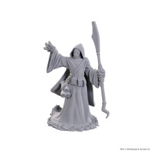 WizKids Dungeons & Dragons Nolzur's Marvelous Miniatures | Miniatures Non Peintes | Vague 25 (Mage Larva Star Spawn)