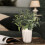 10-Piece Artificial Olive Branches 30cm 5