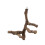Wood Bird Perch Stand for Parrots and Conures 3