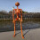 Græskarskeletdekoration Orange Halloween-ophæng 4