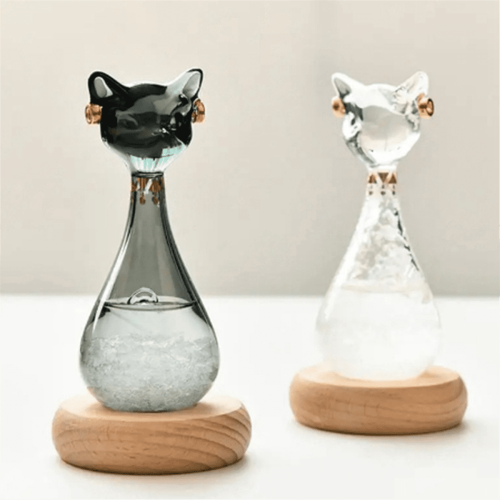 Storm Glass Weervoorspellerfles 1