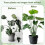 4 Pieces Rustproof Adjustment Garden Plant Support-love 7