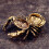Openable Brasses Crabs Miniature Figurine Antique Trinket-2pcs 7