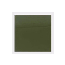 Feuille d'observation de champ magnétique de haute-50X50MM