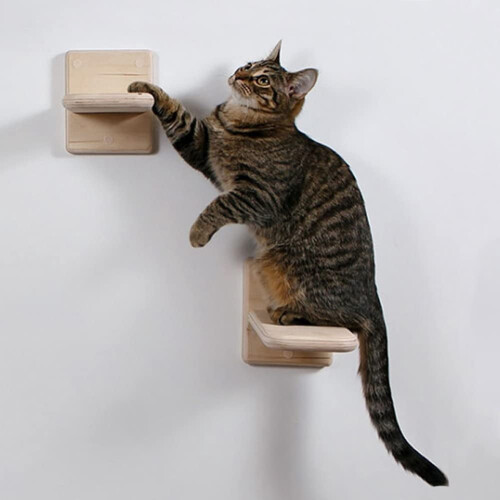 木质猫爬架套装 带阶梯和吊床 墙面安装 2件