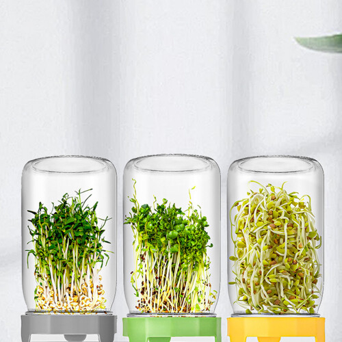 Sprouting Jar, Sprouting Jar Set Germination Sprouter Set-Green 1