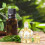 Roller Ball Applicator Inserts for Essential Oils with Jade Stone 50 Pieces 2