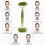Liseng And Gua Sha Tools Set-anti-aging Roller Massager-100% Real Natural Jade 4